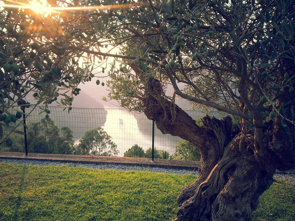 Quinta Das Tilias Douro Valley Cabaca Eksteriør bilde
