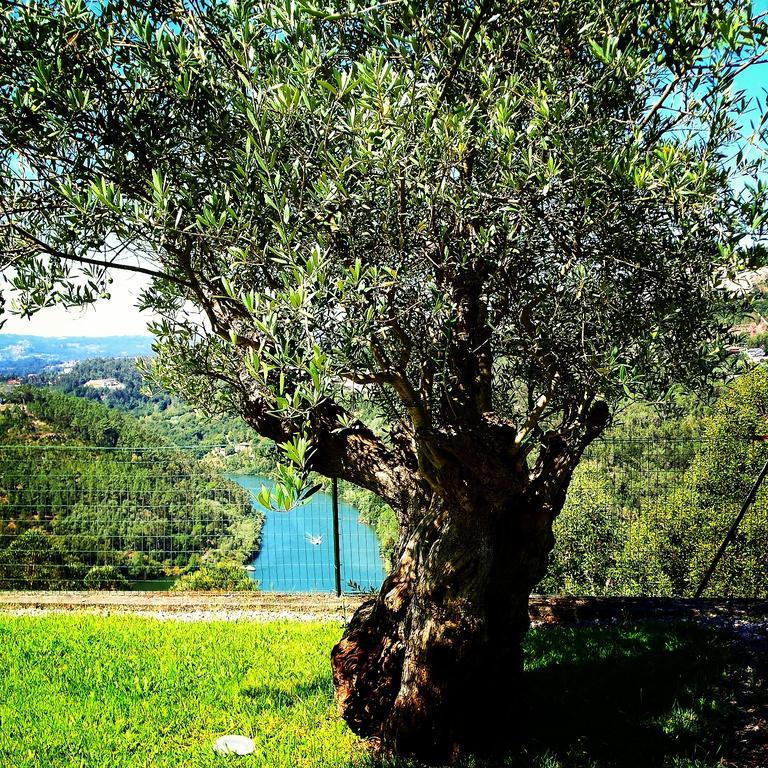Quinta Das Tilias Douro Valley Cabaca Eksteriør bilde